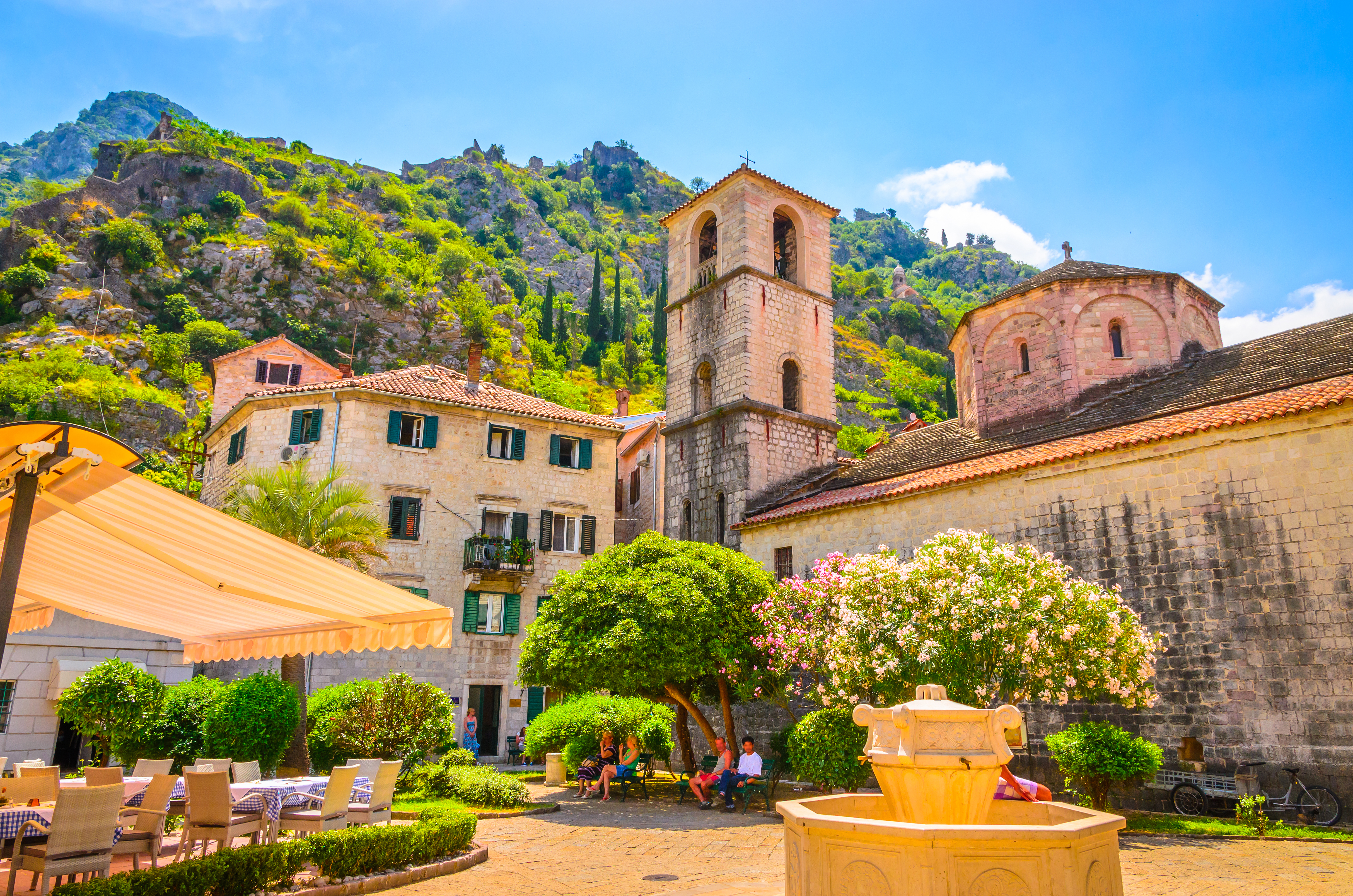 Kotor